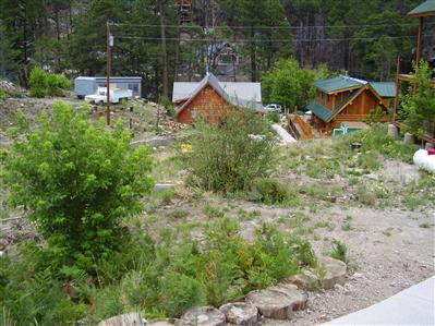 12788 N Phoenix Ave, Mt. Lemmon, AZ photo 3
