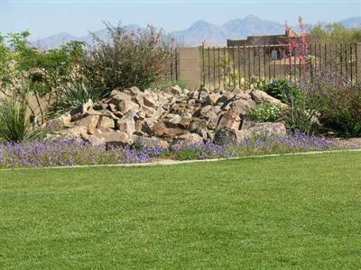 14217 E Whisper Trl, Vail, AZ 85641 photo 3