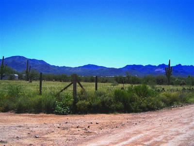 1777 W Broken Saddle Ln, Vail, AZ 85641 photo 5