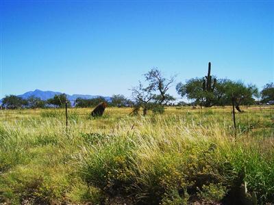 1777 W Broken Saddle Ln, Vail, AZ 85641 photo 1