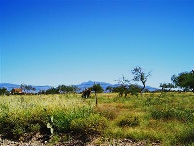 1777 W Broken Saddle Ln, Vail, AZ 85641 photo 3