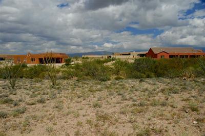 14062 E Lazy Jake Ln, Vail, AZ 85641 photo 2