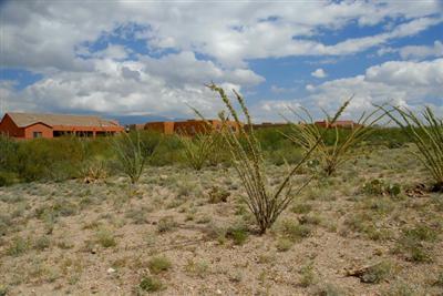 14062 E Lazy Jake Ln, Vail, AZ 85641 photo 9