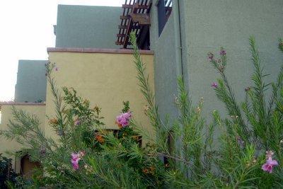 166 E Limberlost Dr #101, Tucson, AZ 85705 photo 3