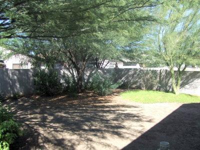 1650 W Houchin Way, Tucson, AZ 85746 photo 6