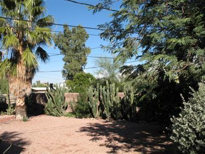 5719 E 2nd St, Tucson, AZ 85711 photo 9