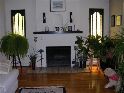 2015 E 10th St, Tucson, AZ 85719 photo 3