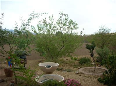 13882 E Placita Pezuna, Vail, AZ 85641 photo 4