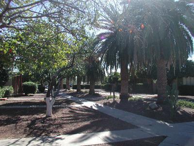 2919 E 17th St, Tucson, AZ 85716 photo 3