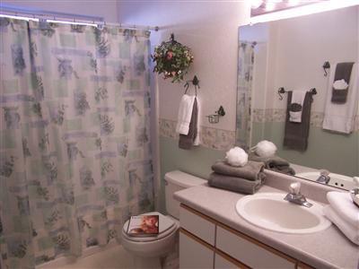 8907 E Citrus Tree Dr, Tucson, AZ 85730 photo 7