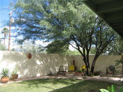 2825 E 19th St, Tucson, AZ 85716 photo 9