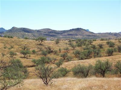 14105 W Jalisco Rd, Arivaca, AZ 85601 photo 3