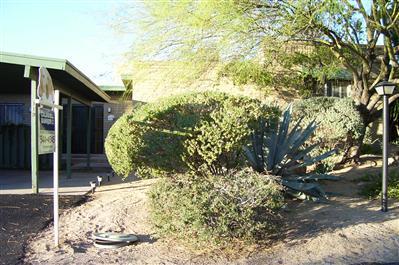 119 E Cholla Shadows, Tucson, AZ 85704 photo 1