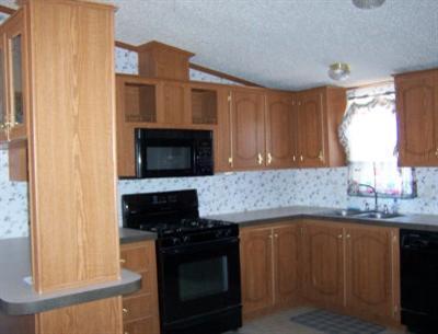 74 W Merrill Dr, Saint David, AZ 85630 photo 4