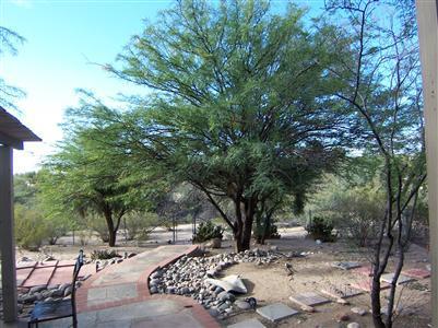 6340 E River Rd, Tucson, AZ 85750 photo 1