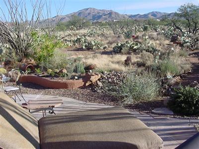 16646 S Sycamore Ridge Trl, Vail, AZ 85641 photo 8