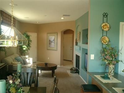 490 E Cactus Mountain Dr, Vail, AZ 85641 photo 4