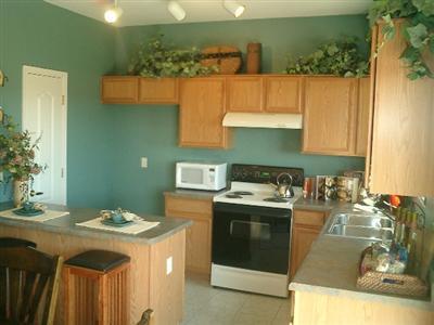 490 E Cactus Mountain Dr, Vail, AZ 85641 photo 3
