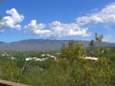 4332 N Windridge Loop, Tucson, AZ 85749 photo 9