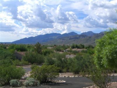 4332 N Windridge Loop, Tucson, AZ 85749 photo 8
