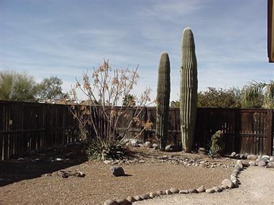 10042 Eugenia Dr, Tucson, AZ 85730 photo 1