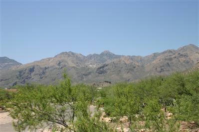 8871 E Saddleback Dr, Tucson, AZ 85749 photo 5