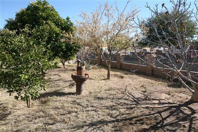 1239 E Michigan St, Tucson, AZ 85714 photo 3