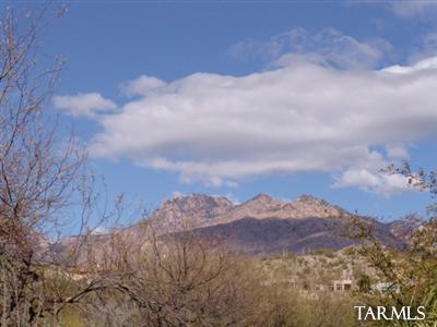 7401 E Snyder Rd, Tucson, AZ 85750 photo 10