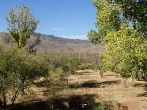 6480 S Upper Valley Rd, Vail, AZ 85641 photo 5