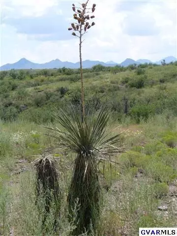 12875 W Ili Teka, Arivaca, AZ 85601 photo 3