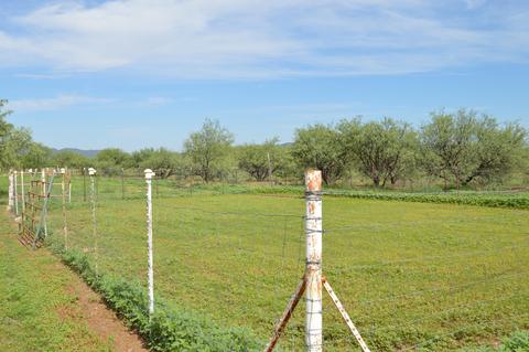 37451 S Arivaca Ranch Rd, Arivaca, AZ 85601 photo 28