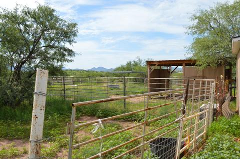 37451 S Arivaca Ranch Rd, Arivaca, AZ 85601 photo 29
