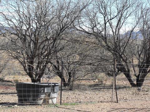 37451 S Arivaca Ranch Rd, Arivaca, AZ 85601 photo 42