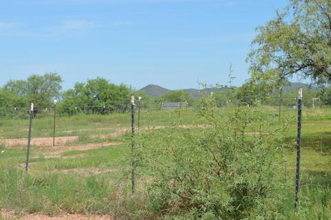 37451 S Arivaca Ranch Rd, Arivaca, AZ 85601 photo 40