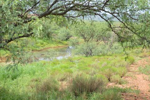 37451 S Arivaca Ranch Rd, Arivaca, AZ 85601 photo 35