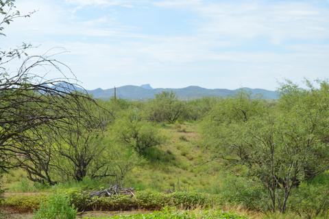 37451 S Arivaca Ranch Rd, Arivaca, AZ 85601 photo 39