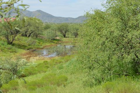 37451 S Arivaca Ranch Rd, Arivaca, AZ 85601 photo 36
