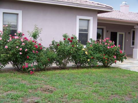 148 Vaughn Loop Rd, Elgin, AZ 85611 photo 20