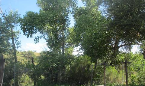 1220 E Live Oak Dr, Nogales, AZ 85621 photo 3