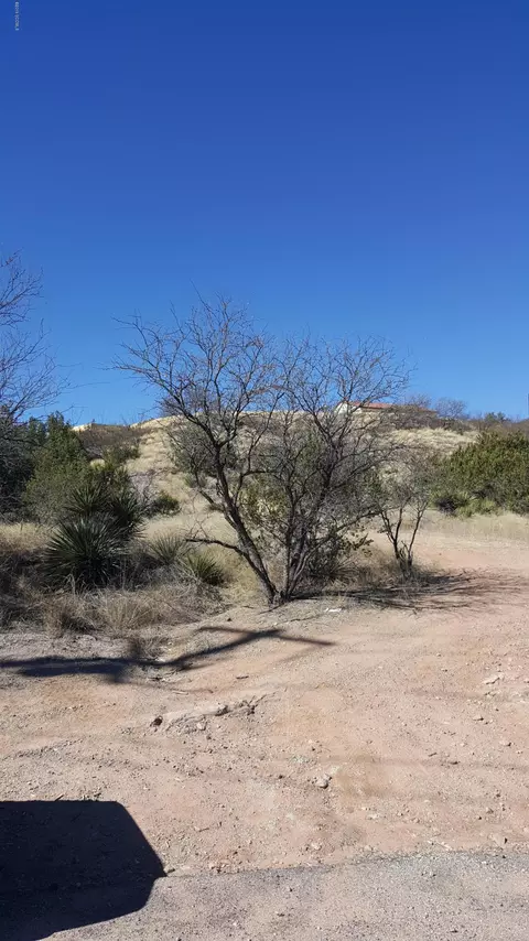 853 E Roper Rd, Nogales, AZ 85621 photo 3