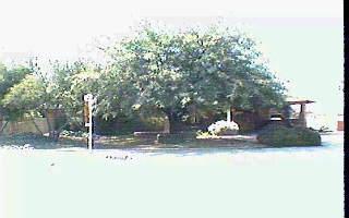 5162 E 8th St, Tucson, AZ 85711 photo 1