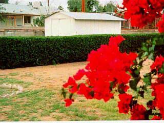 4512 E 5th St, Tucson, AZ 85711 photo 2