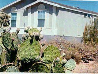 13630 E Garigans Gulch Rd, Vail, AZ 85641 photo 3