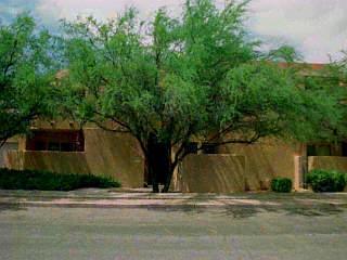 3507 E 4th St, Tucson, AZ 85716 photo 1