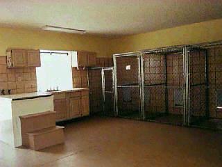 3060 E Wetstones Rd, Vail, AZ 85641 photo 2