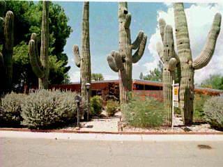 6941 E 2nd St, Tucson, AZ 85710 photo 1