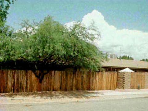 1105 E Spring St, Tucson, AZ 85719 photo 1