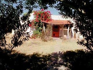 3543 E Willard St, Tucson, AZ 85716 photo 1