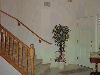 9102 Elderberry St, Tucson, AZ 85747 photo 4