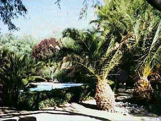 12320 E Sutter Mill St, Tucson, AZ 85749 photo 3